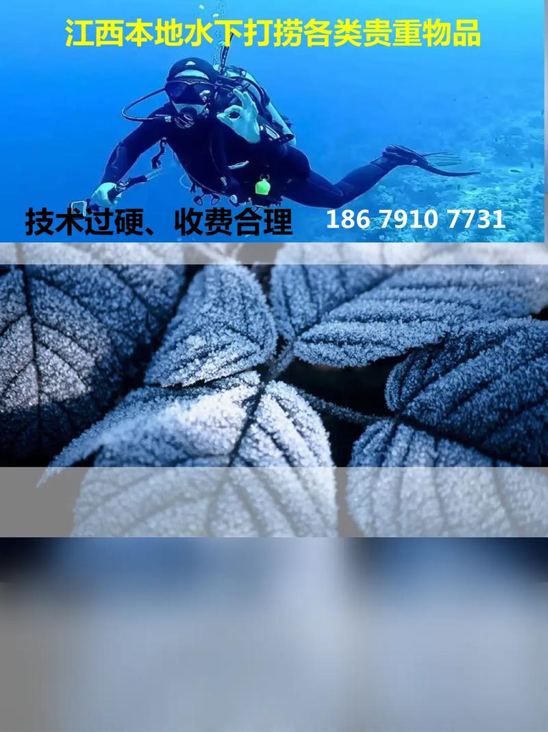 04-30 17:46 全部评论 大家都在搜: 南昌潜水打捞